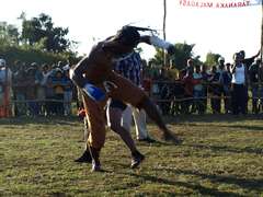 mada_moringy_2011 730