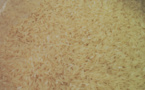 Coop-Solidaire a récupéré son riz à moins d'un euro/kg