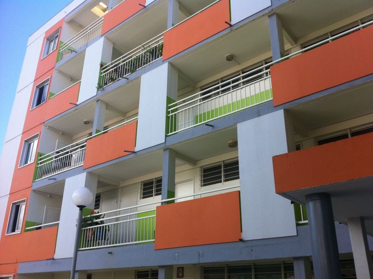 Aline Murin Hoarau : Réunionnaise indignée Aline Murin Hoarau : Réunionnaise indignée