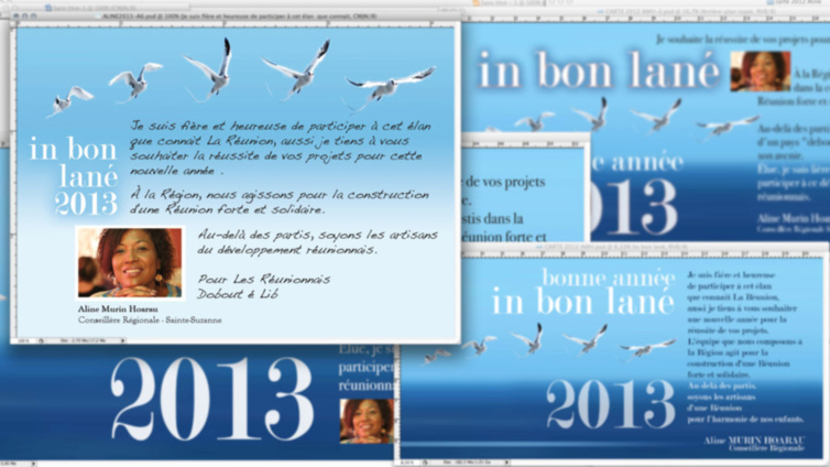 Aline Murin Hoarau - 2013