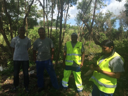 Région: des emplois verts utiles Région: des emplois verts utiles