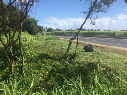 Région: des emplois verts utiles Région: des emplois verts utiles
