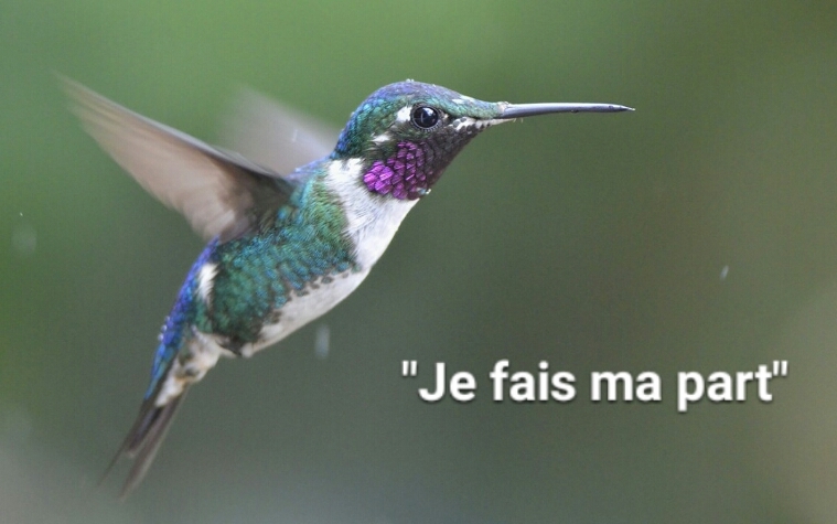 « La fin d’un cycle et de modèle ». « La fin d’un cycle et de modèle ».