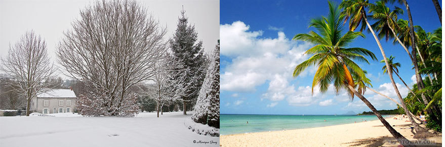 L'autonomie des écoles, un facteur de réussite et d'efficacité. L'autonomie des écoles, un facteur de réussite et d'efficacité.