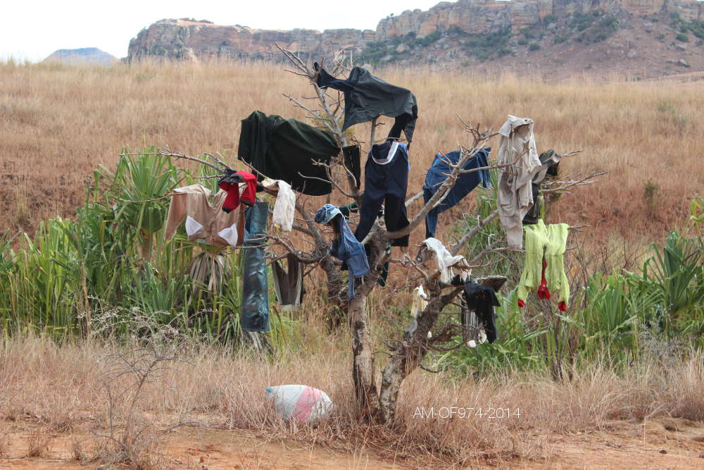 L'arbre à sécher le linge