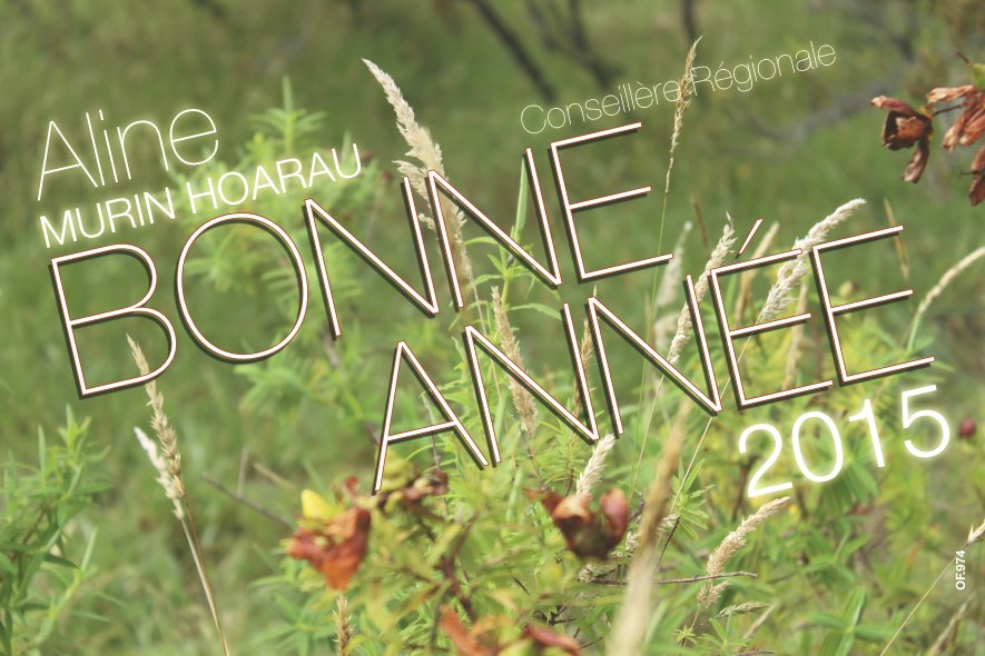 Bonne année 2015