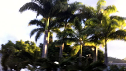 IMG_0275.jpg IMG_0275.jpg