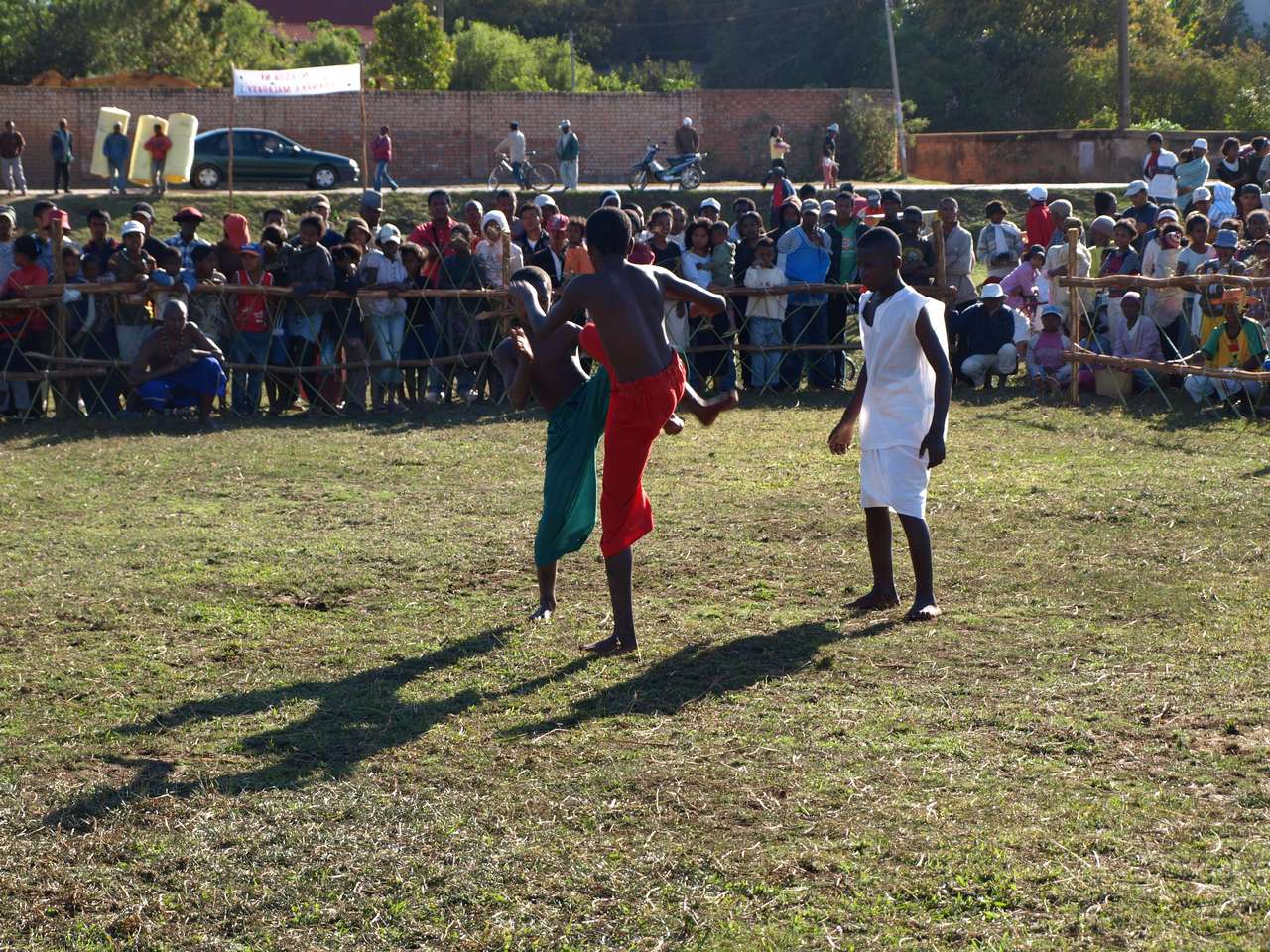 mada_moringy_2011 675 mada_moringy_2011 675