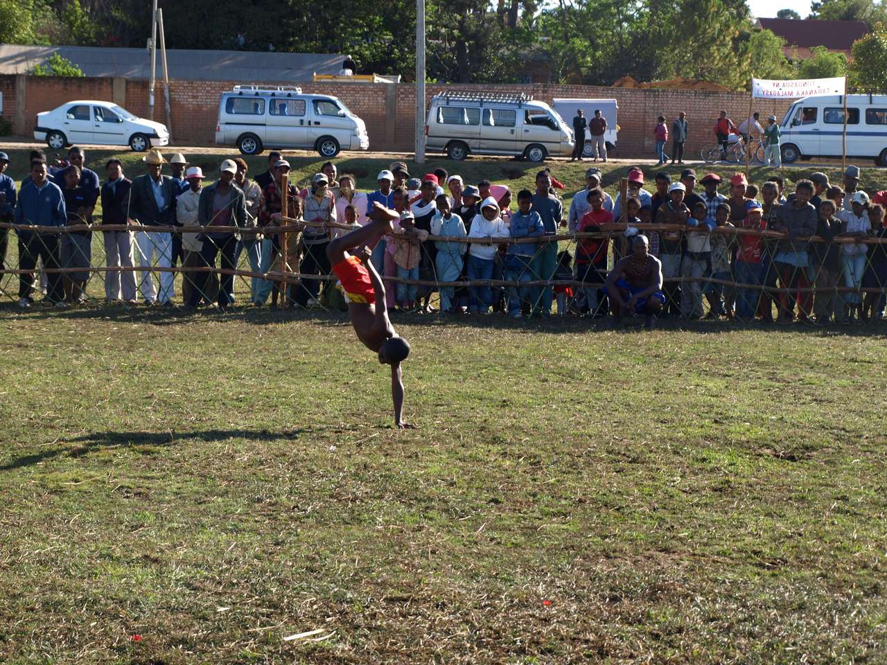 mada_moringy_2011 678 mada_moringy_2011 678