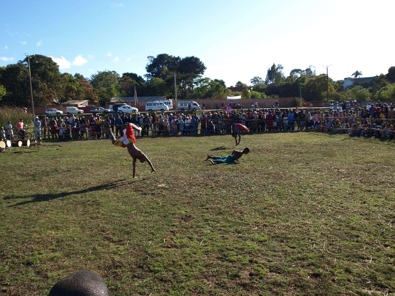 mada_moringy_2011 680 mada_moringy_2011 680