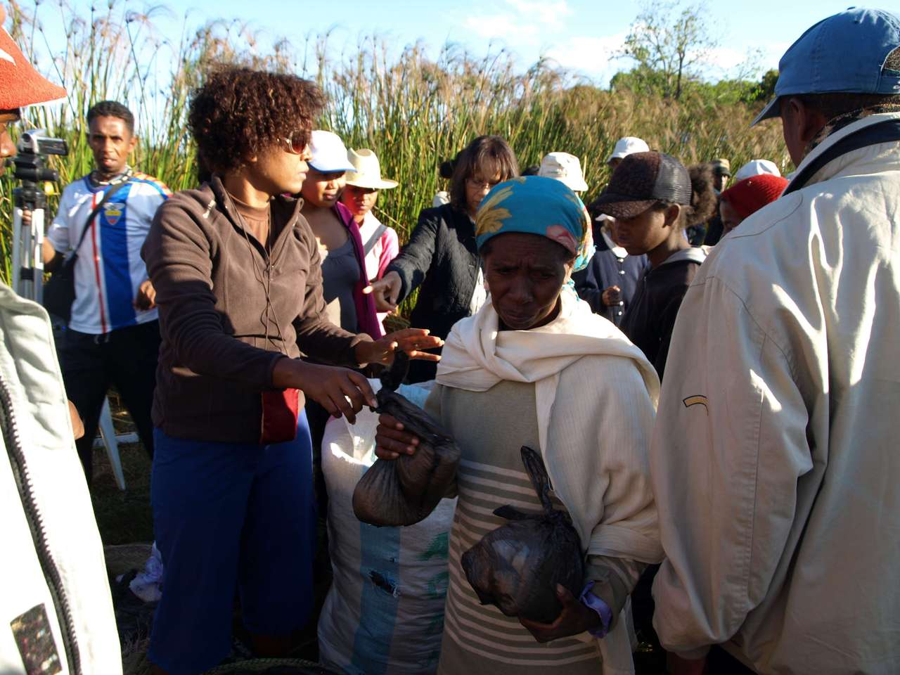 mada_moringy_2011 705 mada_moringy_2011 705