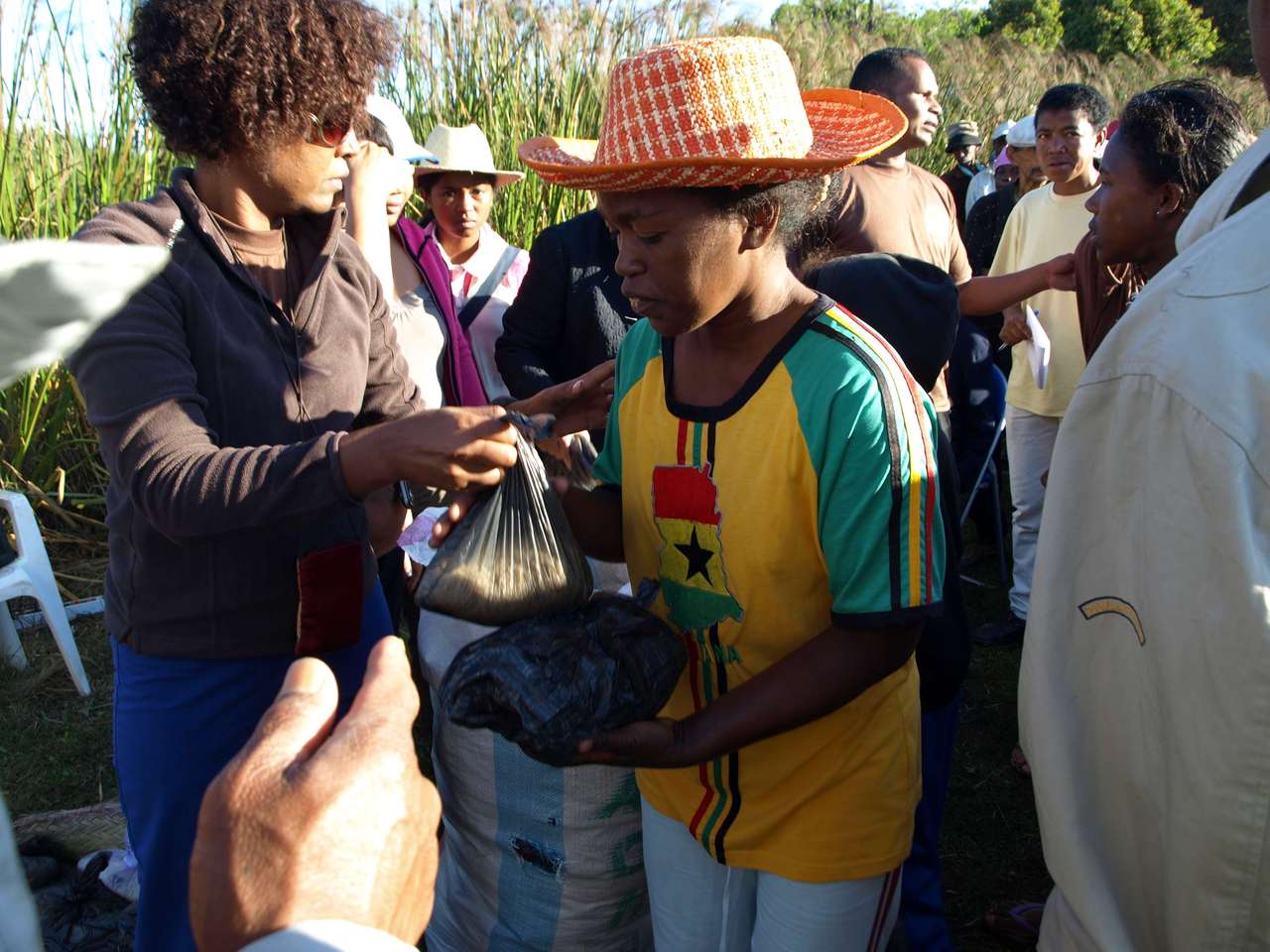 mada_moringy_2011 710 mada_moringy_2011 710