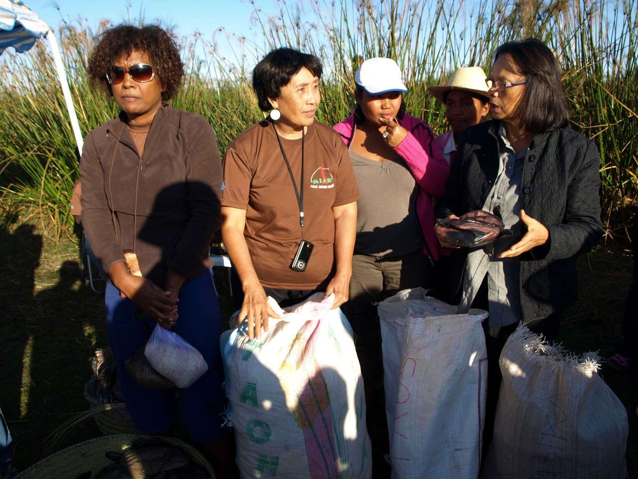 mada_moringy_2011 713 mada_moringy_2011 713