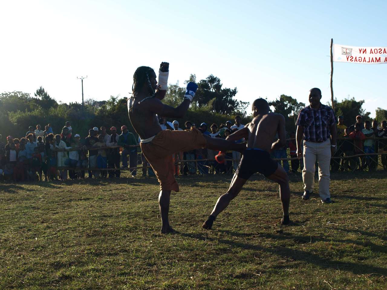 mada_moringy_2011 733 mada_moringy_2011 733