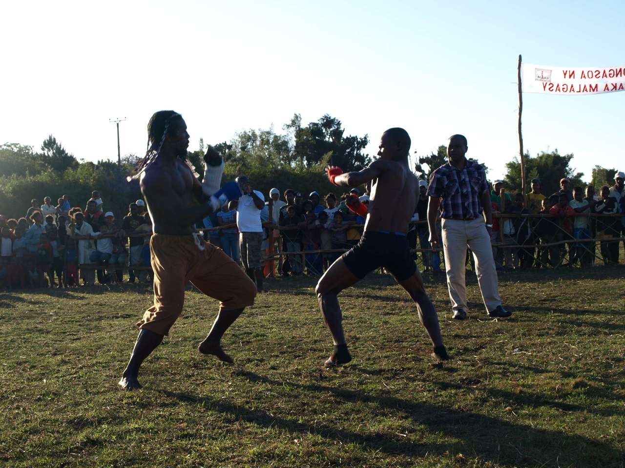 mada_moringy_2011 734 mada_moringy_2011 734