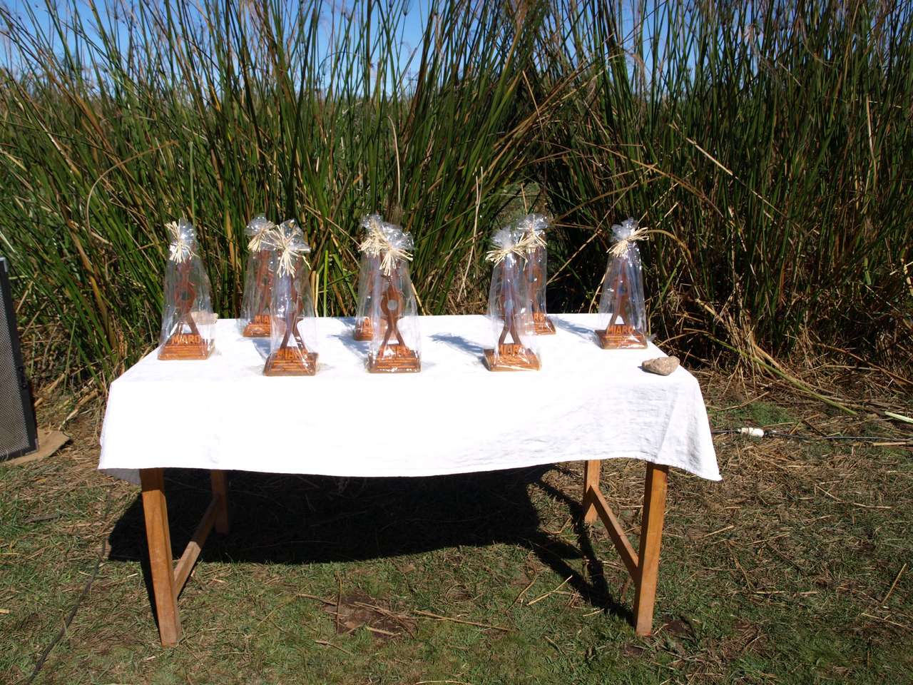 mada_moringy_2011 898 mada_moringy_2011 898