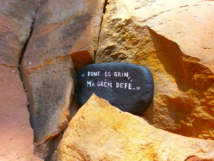 PCR nouveau ... mais cépage ancien . PCR nouveau ... mais cépage ancien .