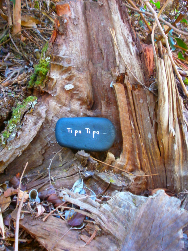 PCR nouveau ... mais cépage ancien . PCR nouveau ... mais cépage ancien .