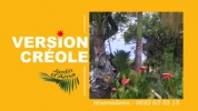 29-01 VERSION CREOLE.mp4