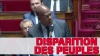 LE PEUPLE REUNIONNAIS EST ACTUELLEMENT REMPLACE PAR LES ZOREYS A LA REUNION