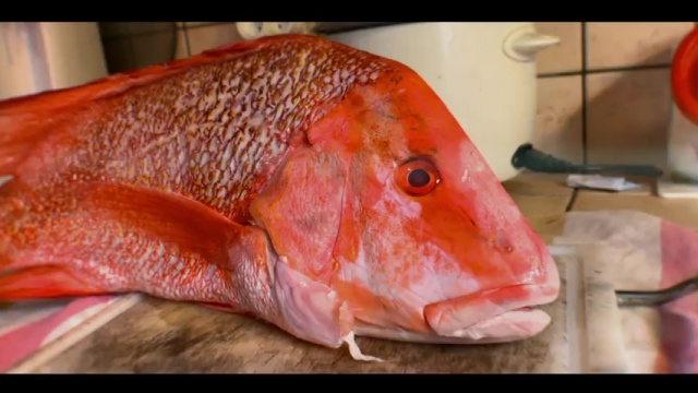 BONANÉ