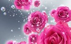 LAISSEZ PASSER LA VAGUE ROSE !