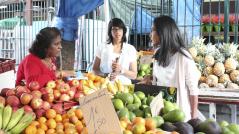 nadia -9119 nadia -9119