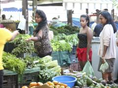 nadia -9168 nadia -9168