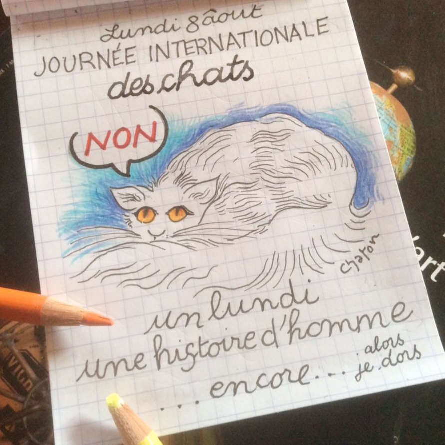 Journée internationale des chats Journée internationale des chats