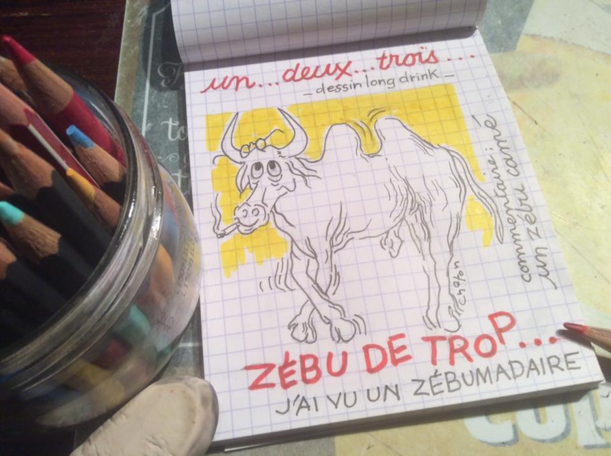 Le Zébumadaire Le Zébumadaire