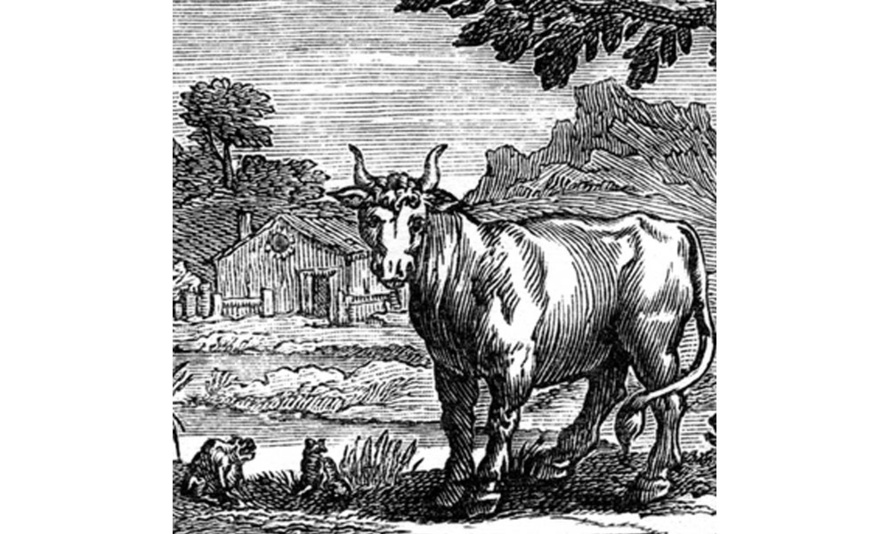 Gravure de Claude BARBIN et Denis THIERRY - Domaine Public Gravure de Claude BARBIN et Denis THIERRY - Domaine Public