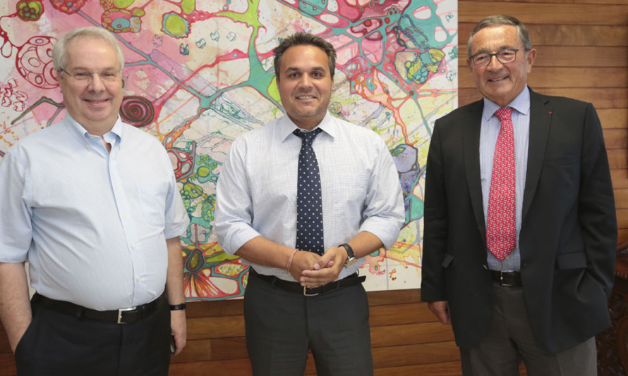 La compagnie aérienne low-cost French Blue La compagnie aérienne low-cost French Blue