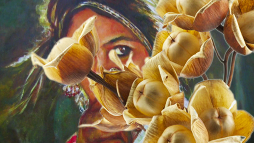 Lili nous entraîne vers une rencontre artistique Lili nous entraîne vers une rencontre artistique