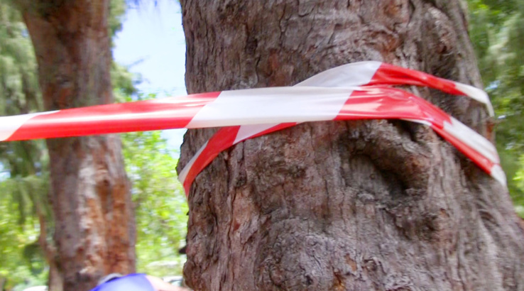 Pique-nique efficace pour le Collectif des Riverains de l'Ermitage Pique-nique efficace pour le Collectif des Riverains de l'Ermitage