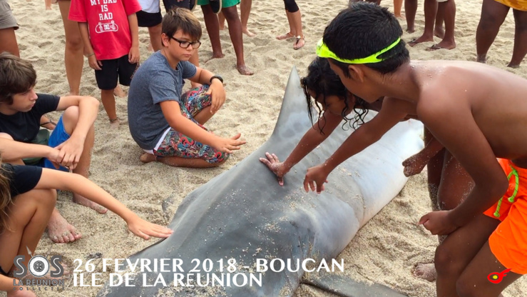 La mer est fermée depuis 7 ans ! La mer est fermée depuis 7 ans !