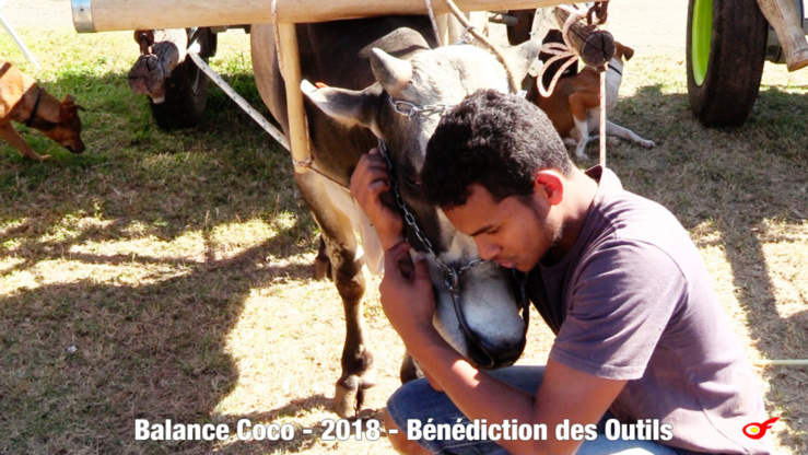 Baptême Couteaux à Balance Cocos Baptême Couteaux à Balance Cocos