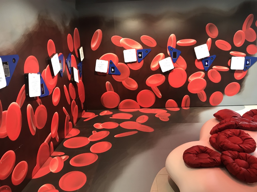 Inauguration de la première exposition permanente et interactive dédiée au diabète. Inauguration de la première exposition permanente et interactive dédiée au diabète.