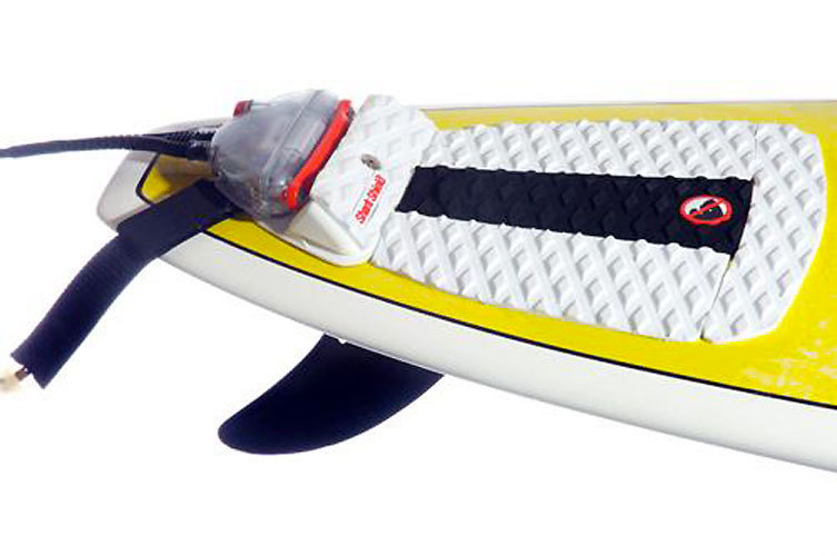 Fabienne Couapel-Sauret : "Le Shark-Shield, et la pêche et le marquage des requins"