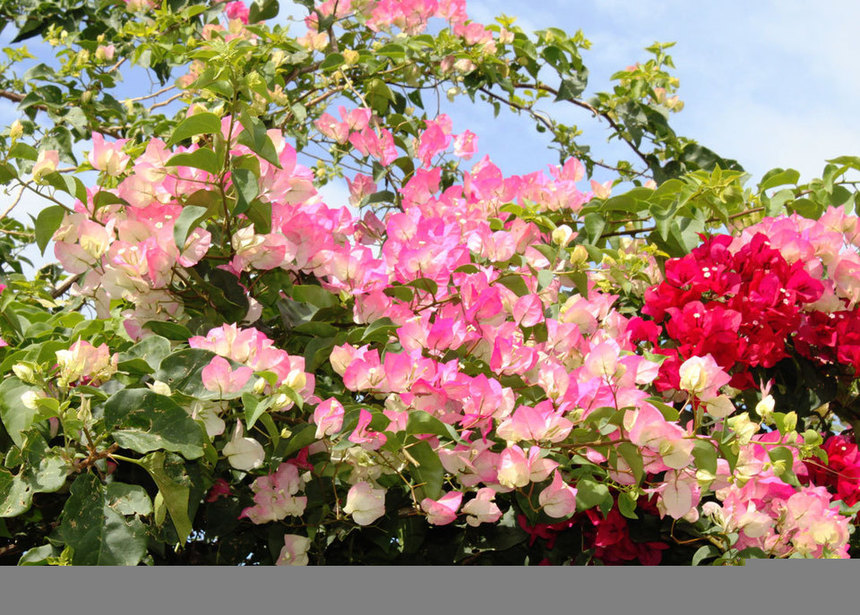 Du Mécanisme européen de stabilité aux "prélèvements" vie chère des collectivités...