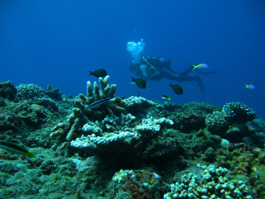 Greenpeace : "Les pêcheurs sont ainsi les principaux bénéficiaires de la création de réserves marines"