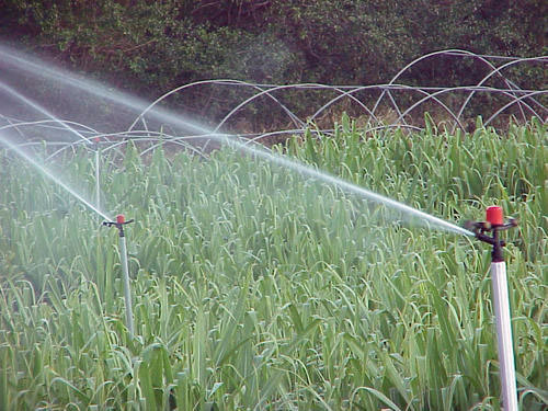 200.000 € pour l'agriculture et la pêche