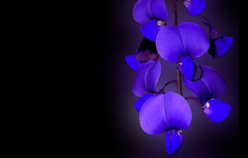 Saint-Benoît : le FSU dénonce des violences à l'encontre de son délégué