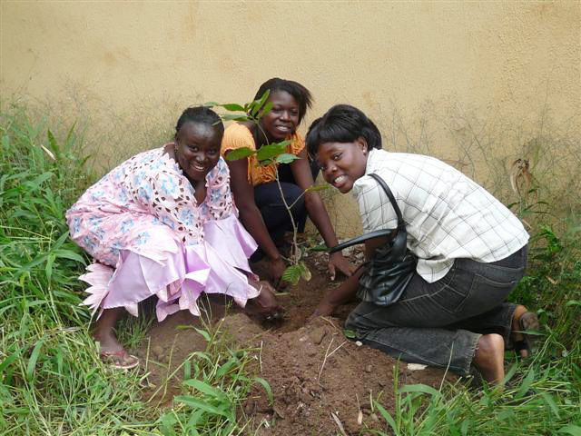 Reforester des ilots, un un engagement commun pour un développement durable de l’OI