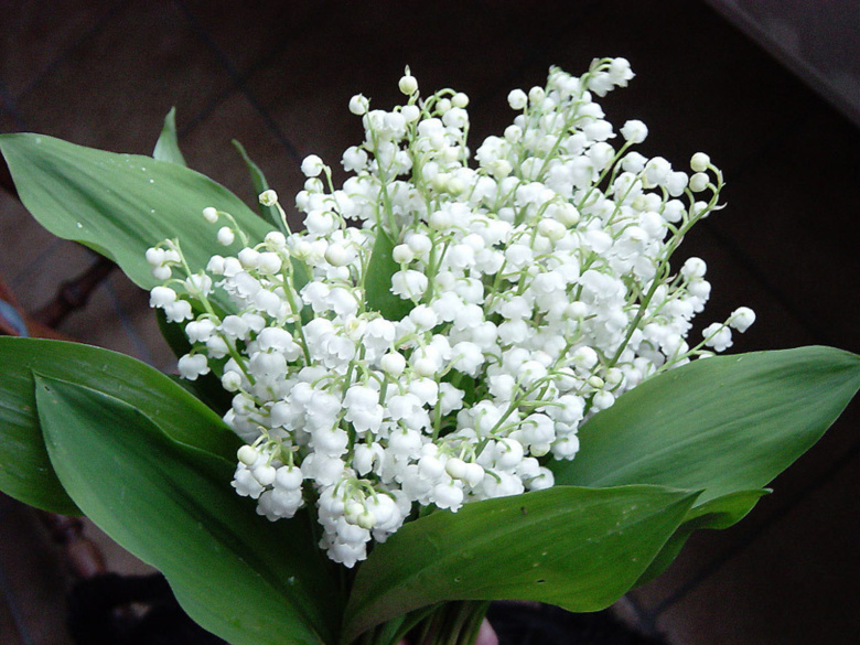 "Faites du 1er : une journée de réflexion sur le partage du travail"