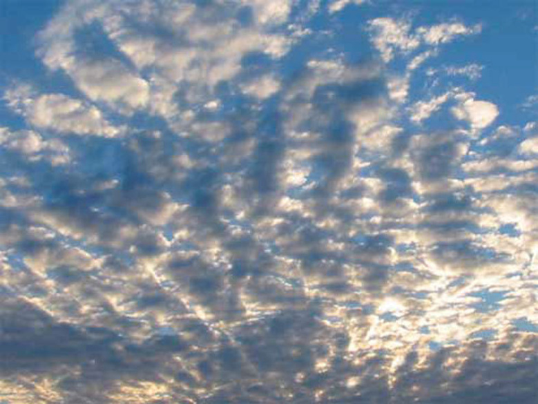 Commnuniste St-André : "Eric Fruteau est pire que Jean-Paul Virapoullé"