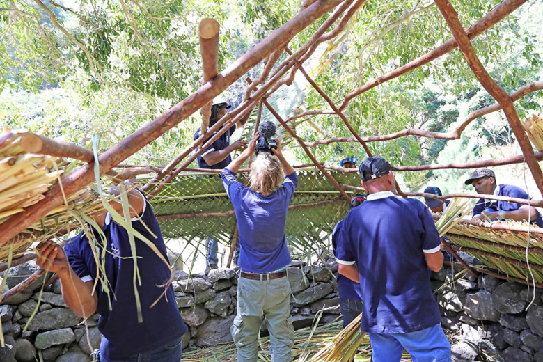 Une équipe de Arte à la découverte d'un bois péi durable