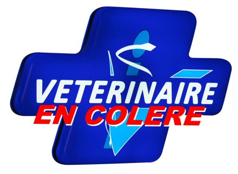 Les vétérinaires ont le mors aux dents