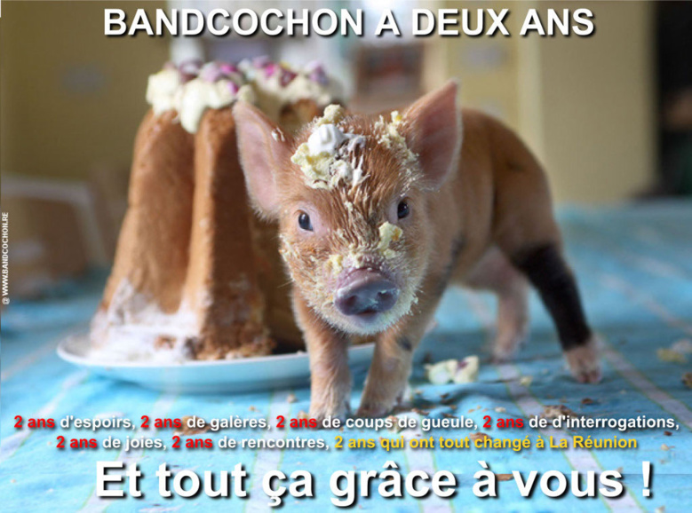 Bandcochon a 2 ans ! Bandcochon a 2 ans !