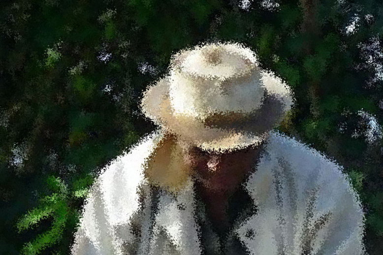 Saint-Paul, la fête réussie mais l’histoire ignorée Saint-Paul, la fête réussie mais l’histoire ignorée