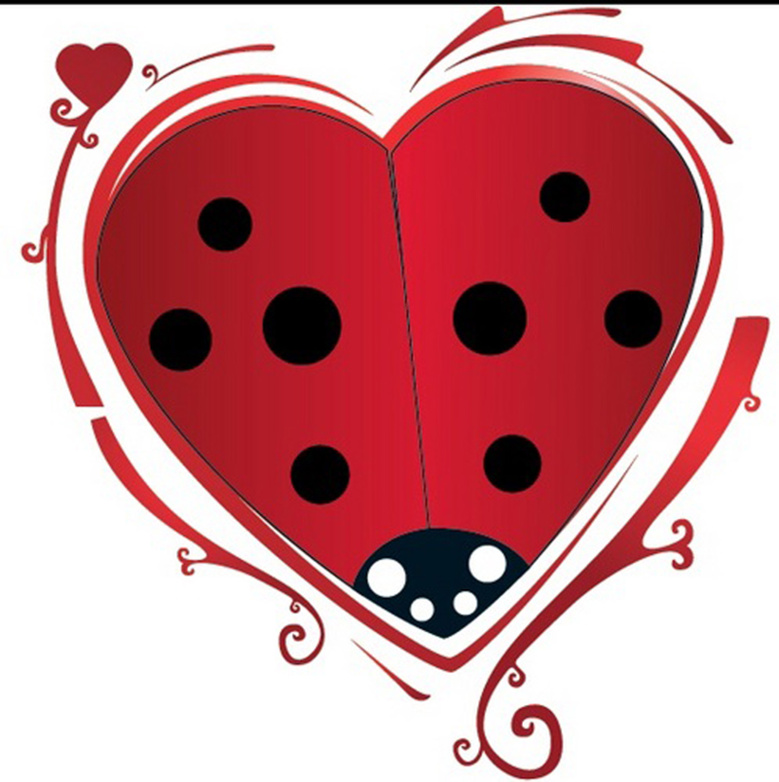 Cœur2coccinelle Cœur2coccinelle